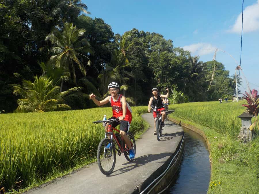 Ubud: Half-Day Tegallalang Electric Cycling Tour - What to bring (so the ride stays comfortable)