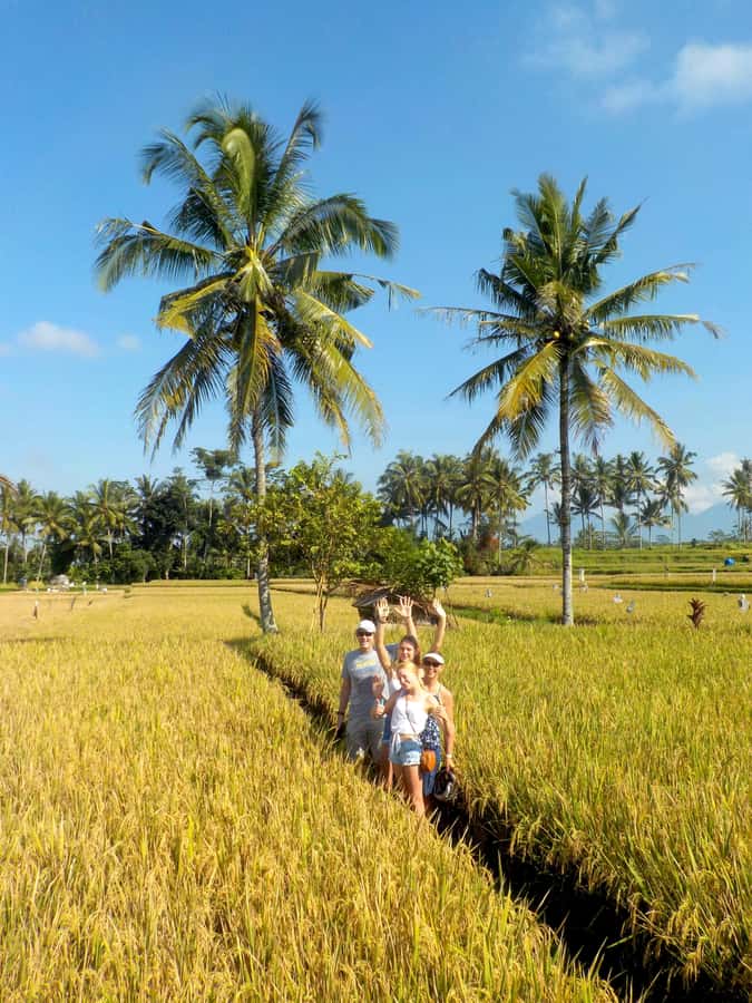 Ubud: Half-Day Tegallalang Electric Cycling Tour - Pickup and getting to the start: Ubud center is easy