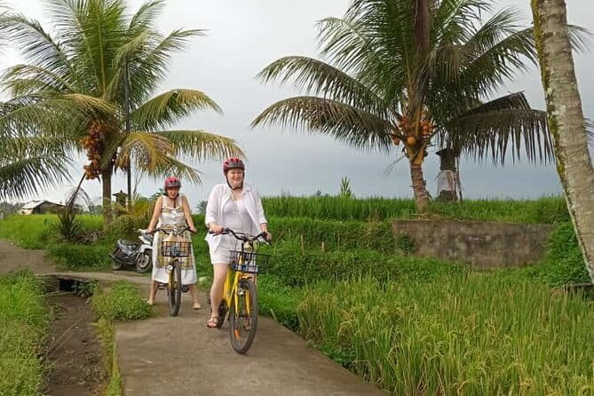 Ubud : Kintamani Downhill Cycling Tour with Lunch - What This Ubud–Kintamani Downhill Cycling Tour Feels Like