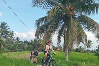 Ubud : Kintamani Downhill Cycling Tour with Lunch - Your Day at a Glance: Timing That Makes Sense