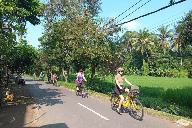 Ubud : Kintamani Downhill Cycling Tour with Lunch - Stop 3: Lunch at The amertha Restaurant in Tampaksiring