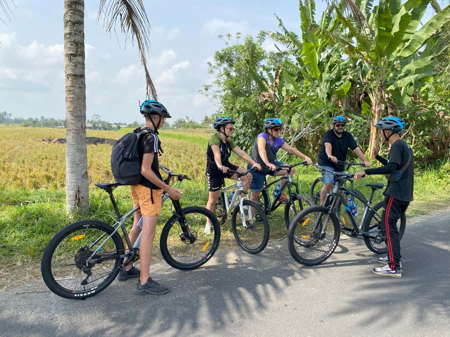 Ubud: Kintamani Downhill Cycling with small group & Private - Key things you’ll notice on this ride