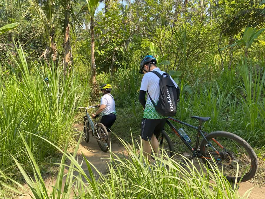 Ubud: Kintamani Downhill Cycling with small group & Private - Safety setup that doesn’t feel overbearing
