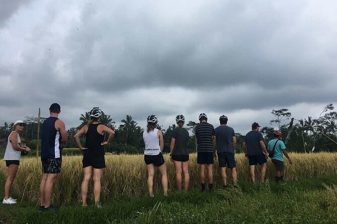 Ubud Wonderful Half Day Downhill Cycling Tour with Lunch - Banjar Laplapan Lunch: Real Balinese Food and Options for Everyone