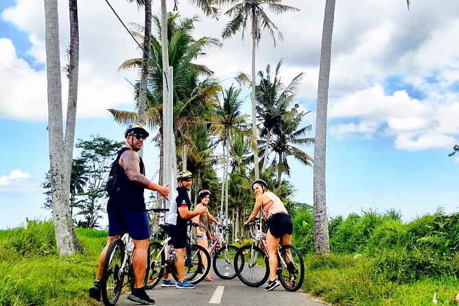 Ubud Wonderful Half Day Downhill Cycling Tour with Lunch - Gear, Transfers, and the 8:00 am Start That Helps