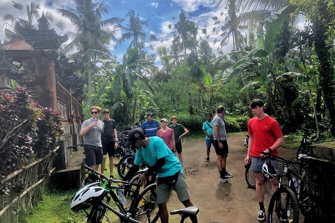 Ubud Wonderful Half Day Downhill Cycling Tour with Lunch - Who This Tour Fits Best (and Who Should Rethink It)