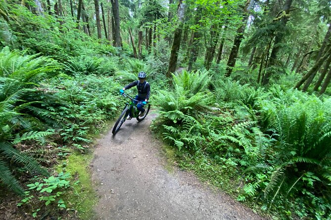 Viator Exclusive - Half Day Mountain Bike Tour from Seattle - Inside the ride: how your 2.5–3 hours typically unfolds