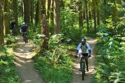 Viator Exclusive - Half Day Mountain Bike Tour from Seattle - Choosing your trail level: Duthie Hill vs Tiger Mountain and Raging River