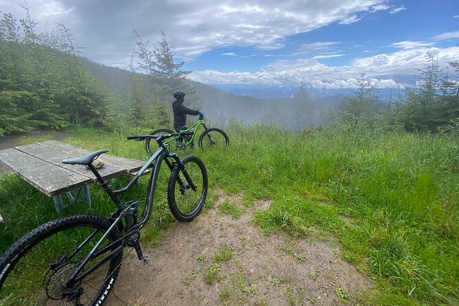 Viator Exclusive - Half Day Mountain Bike Tour from Seattle - Logistics that actually help: timing, group size, and communication