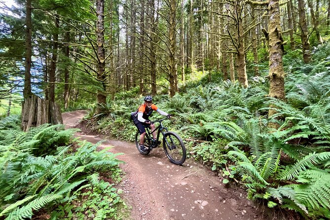 Viator Exclusive - Half Day Mountain Bike Tour from Seattle - What to bring (and what to skip)