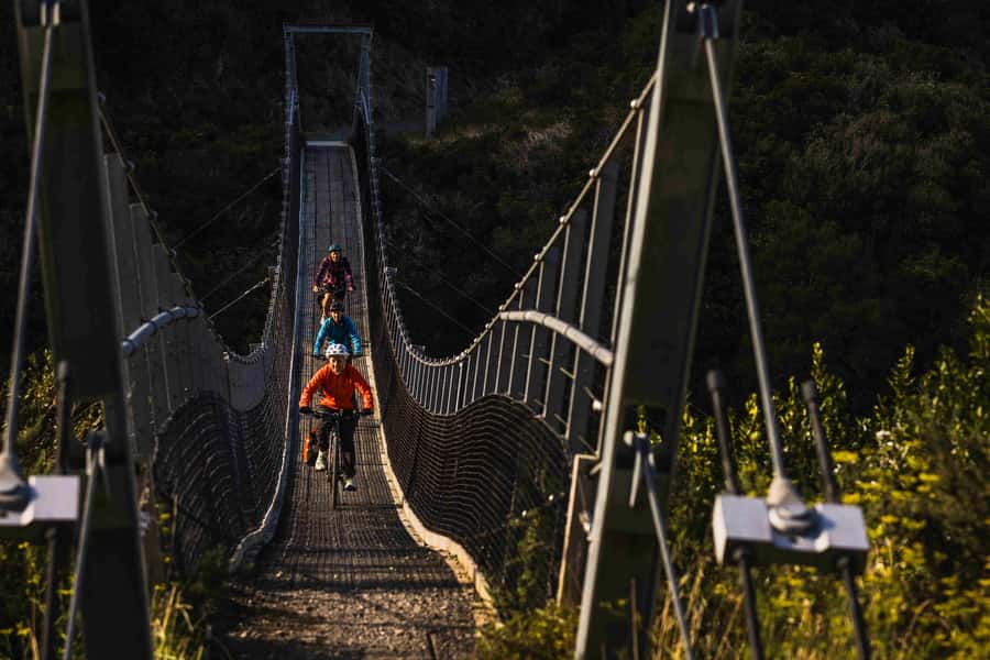 Wellington: Remutaka Rail Trail Cycle Tour - Key Things You’ll Notice on the Remutaka Rail Trail