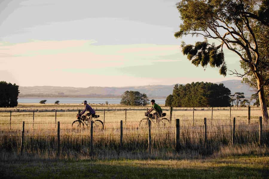 Wellington: Remutaka Rail Trail Cycle Tour - Headlights, Tunnels, and the Fell Railway Story You Can Ride