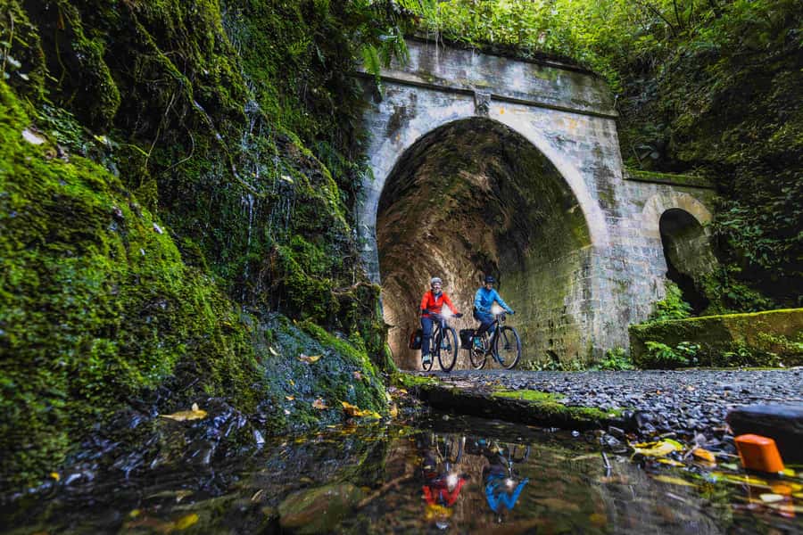 Wellington: Remutaka Rail Trail Cycle Tour - Kaitoke to the First Big Rhythm: Gradual Climb, Native Bush, and Tunnel Practice