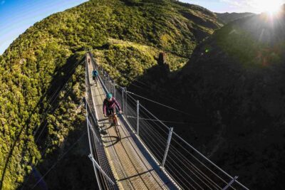 Wellington: Remutaka Rail Trail Cycle Tour - Pickup and Van Time: Easy Morning Logistics from Wellington