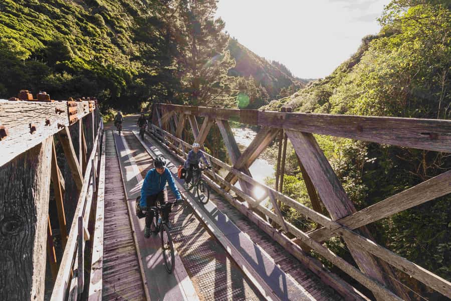 Wellington: Remutaka Rail Trail Cycle Tour - The Descent to Cross Creek: Fun, Controllable, and Still a Real Trail