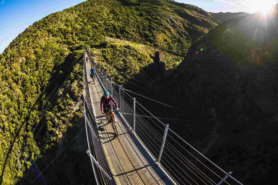 Wellington: Remutaka Rail Trail Cycle Tour - Pickup and Van Time: Easy Morning Logistics from Wellington