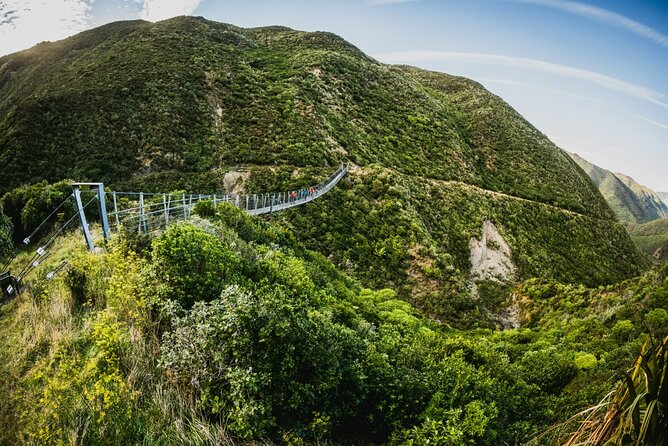 Wellington Remutaka Rail Trail eBike Cycle Tour - Getting to the trail: Wellington pickup, shuttle, and your start point