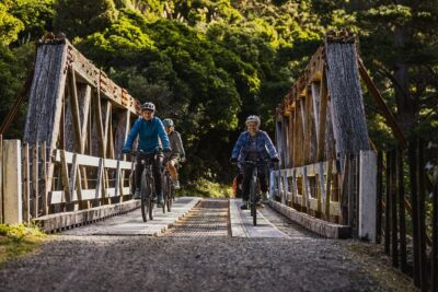 Wellington Remutaka Rail Trail eBike Cycle Tour - Riding the old rail line: Pakuratahi Forest, bridges, and tunnel time