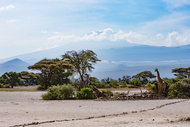 West Kilimanjaro cycling Adventures - Maasai Land on a bike: culture you can see, not just hear about