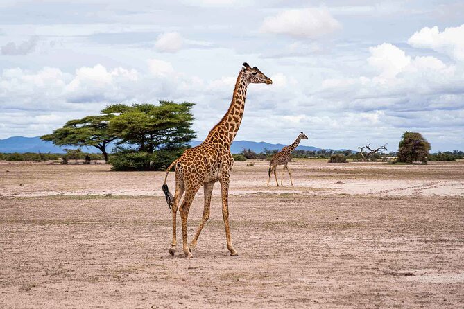 West Kilimanjaro cycling Adventures - A key fitness and riding reality check
