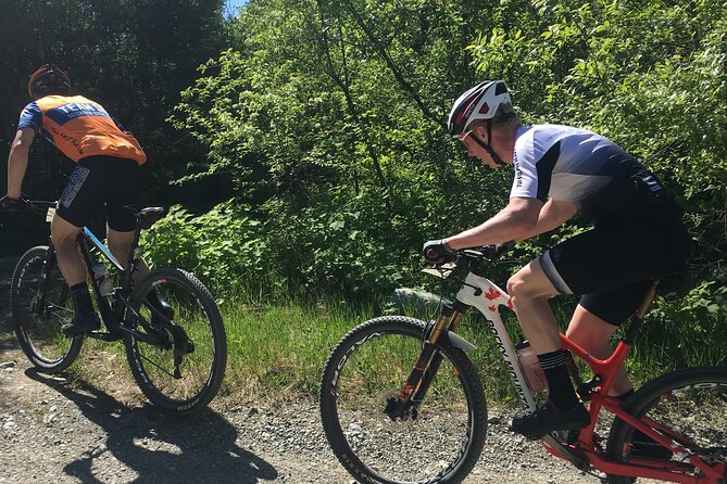 Whistler Full-Day Mountain Bike Tour - Pickup, Start Time, and Getting Set Up Before You Ride