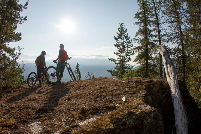 Whistler Half-Day Mountain Bike Tour - Why This Whistler MTB Tour Feels Efficient (and Still Personal)