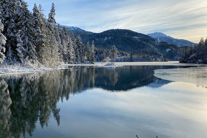 Whistler Half-Day Mountain Bike Tour - Key Highlights You’ll Actually Care About
