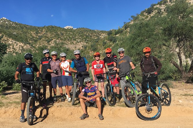 Whistler Half-Day Mountain Bike Tour - Meeting at Your Lodging: Fast Start, Fewer Logistics Headaches