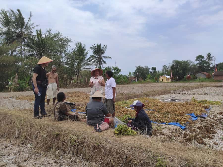 Yogyakarta: Countryside Village Cycling Tour With Guide - Who Should Book This Tour (And Who Might Prefer Another Option)