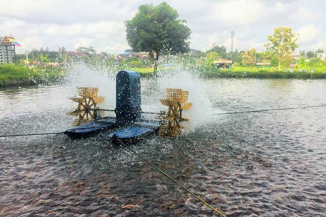 Yogyakarta Cycling Tour Around the Villages and Fish Farm - Who This Tour Suits Best